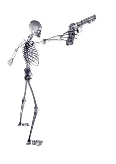 Radiography Prints: x ray skeleton shooting