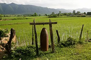 Paddy Prints: Xieng Khouang, Laos