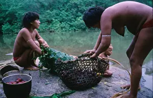 Yanomami Indians washing fruit in river, Roraima province, near Boa Vista, Brazil, Amazon