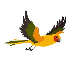 Animated Prints: Yellow ara with spread wings vector illustration