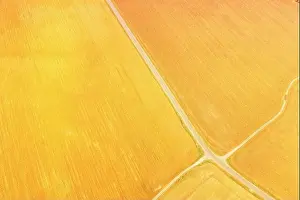yellow Clusters Of Agricultural Fields Sown With Different Crops. Aerial View country road through fields. Golden Wheat Agricultural Summer Season