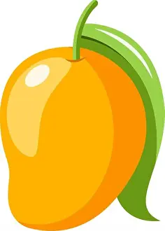 Vector Vectors Prints: A Yellow colored mango with green leaf, vector, color drawing or illustration