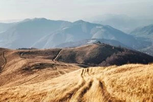 Images Dated 22nd October 2019: Yellow grass trembling in the wind in autumn mountains at sunrise. Carpathian mountains, Ukraine