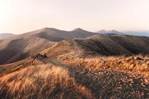 Yellow grass trembling in the wind in autumn mountains at sunrise. Carpathian mountains, Ukraine. Landscape photography
