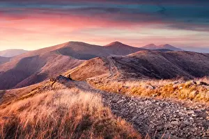 Yellow grass trembling in the wind in autumn mountains at sunrise. Carpathian mountains, Ukraine. Landscape photography