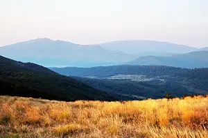 Yellow grass trembling in the wind in autumn mountains at sunrise. Carpathian mountains, Ukraine. Landscape photography