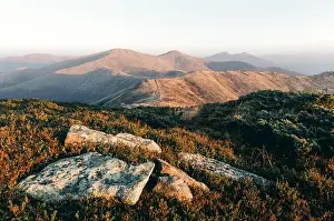 Yellow grass trembling in the wind in autumn mountains at sunrise. Carpathian mountains, Ukraine. Landscape photography
