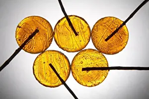 Lick Prints: yellow lollipops on light grey background