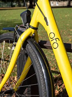 Hire Prints: A yellow OFO hire bicycle or bike leaning against a railing in a park in Cambridge UK