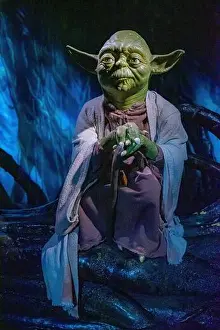 Screenshot Prints: Yoda, represented in full-body wax in a frontal image.UK