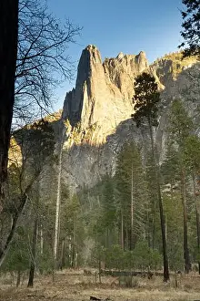 Rock Face Prints: Yosemite National Park, El Capitan, views of granite cliffs and forest floor at sunset