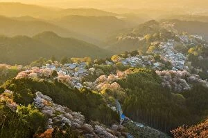 Images Dated 14th April 2014: yoshinoyama japan in the spring