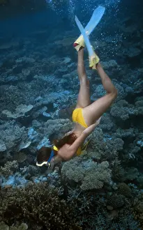 Diver Prints: Young blond woman in bikini with snorkel and flippers diving underwater on coral reef