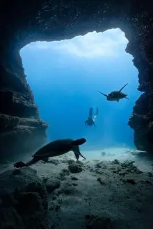 Tropical Island Prints: A young female free diving down into a cave doorway accompanied by a green sea turtle with clear blue water