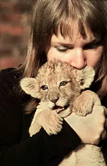 Cuddly Prints: young girl with lion cub