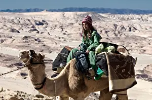 Young Girl Prints: A young girl riding a camel at a camel safari in the Sinai desert Egypt