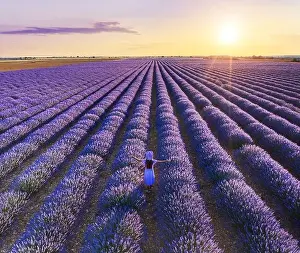Essential Prints: Young girl walking in the lavender field and stunning sunset sky at the background