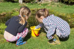 Messy Prints: two young girls pond dipping in garden wildlife pond removing tadpoles in children's bucket