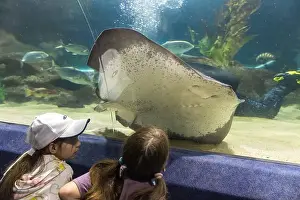 Underside Prints: Two young girls in the tunnel of a giant aquarium