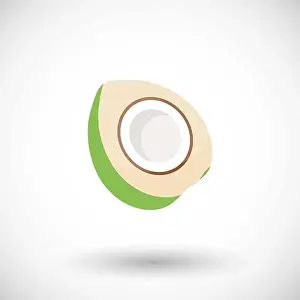Chilled Prints: Young green coconut vector flat icon