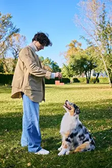 Playtime Prints: A young man with curly hair training joyfully his Australian Shepherd in a vibrant park