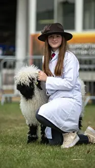 Farm Animals Prints: Young people showing their sheep at the Great Yorkshire Show, 2023