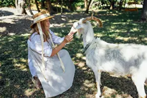 Goat Prints: Young pretty woman in a white dress and a straw hat is feeding a goat