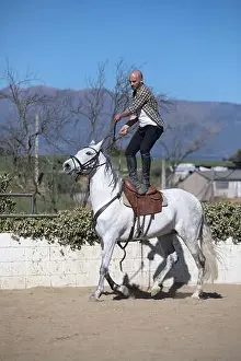 Stunt Prints: Young stunt man in casual outfit riding white horse on sandy ground