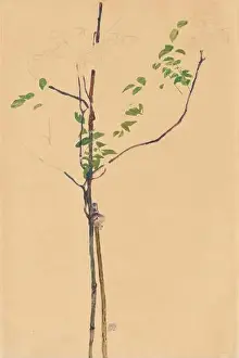 Egon Schiele Prints: Young tree with support, Egon Schiele