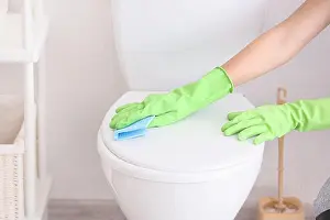 Closet Prints: Young woman cleaning toilet in bathroom