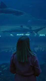 Encounter Prints: A young woman gazes at sharks in a dimly lit underwater aquarium in dubai