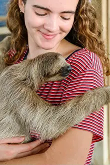 Sleepy Prints: Young woman holding a sloth at a Sloth sanctuary; Roatan, Bay Islands, Honduras