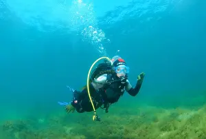 Shows Prints: young woman scubadiver swim underwater and shows sign 'OK'