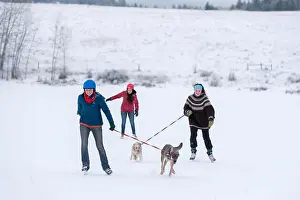 Pulling Prints: Young women on ice skates being pulled by dogs on Kinney Lake, Oregon