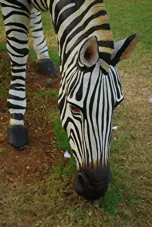 Wild Life Prints: zebra close-up