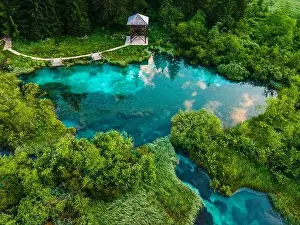 Zelenci Springs in Slovenia Julian Alps near Kranjska Gora