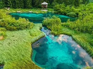 Julian Prints: Zelenci Springs in Slovenia Julian Alps near Kranjska Gora