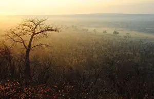 Drought Prints: Zimbabwe is a small country boasting an incredible variety of landscapes and animals