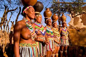 30 Years Prints: Zulu tribes women dancing in traditional clothing Shakaland Zululand KwaZulu-Natal South Africa